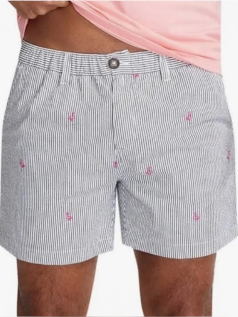 Chubbies The Flamingo Racers 5.5” Originals Seersucker Shorts Striped Mens Small